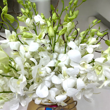 White Dendrobium Orchids in Gold Ceramic Vase